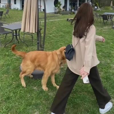 颠倒众生